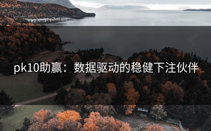 pk10助赢：数据驱动的稳健下注伙伴