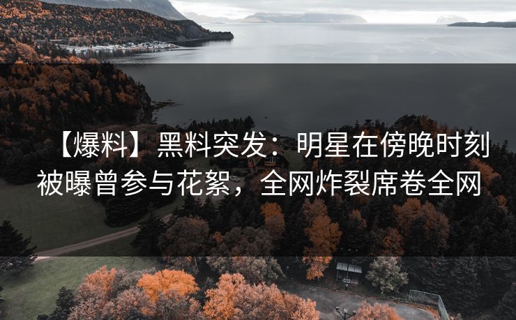 【爆料】黑料突发：明星在傍晚时刻被曝曾参与花絮，全网炸裂席卷全网